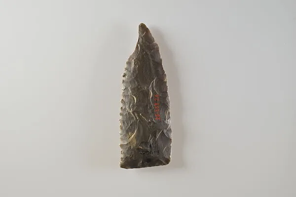 Bifacial Sickle Insert — Unknown