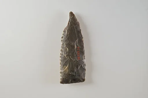 Bifacial Sickle Insert