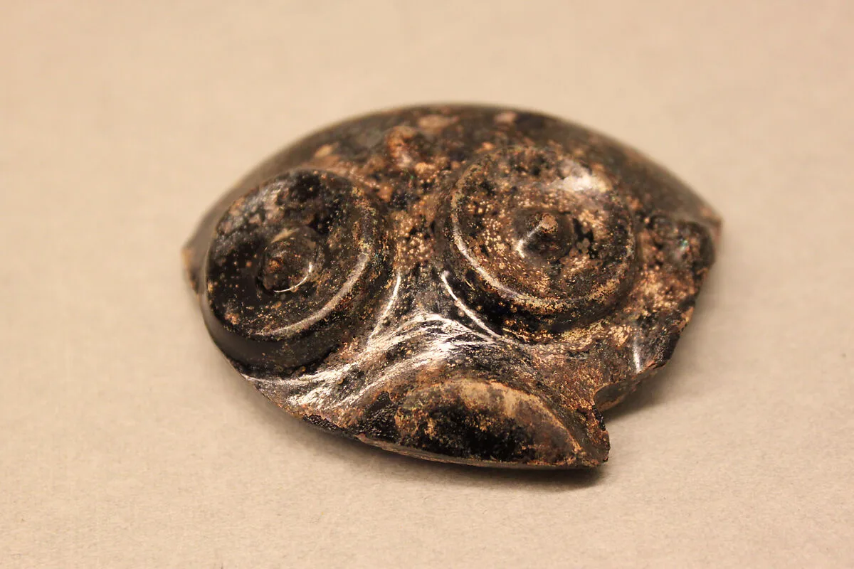 Fragment of Bowl — Unknown