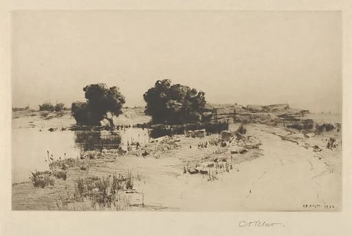 Cape Ann Willows
