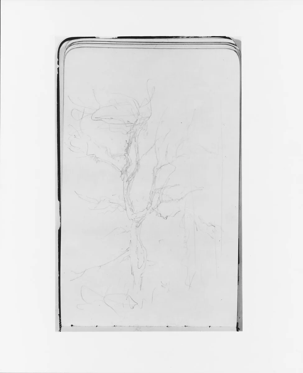 Tree Sketch (from Sketchbook) — Albert Bierstadt