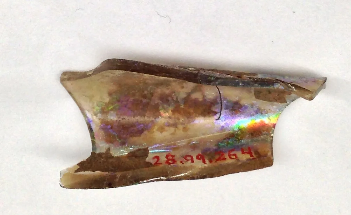 Fragment — Unknown