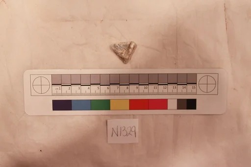 Stucco Fragment