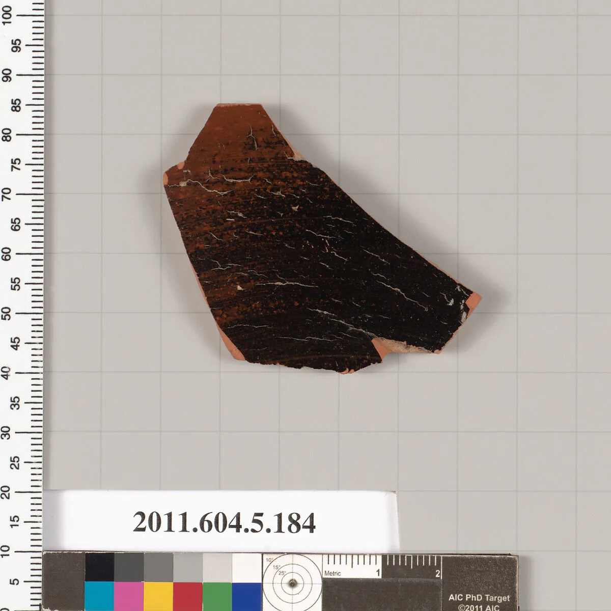 Terracotta fragment of a kylix (drinking cup) — Unknown