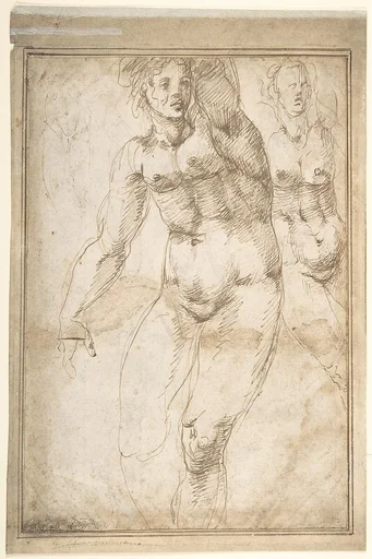 Nude Figure Studies (Recto); Sheet of Figure Studies (Verso)