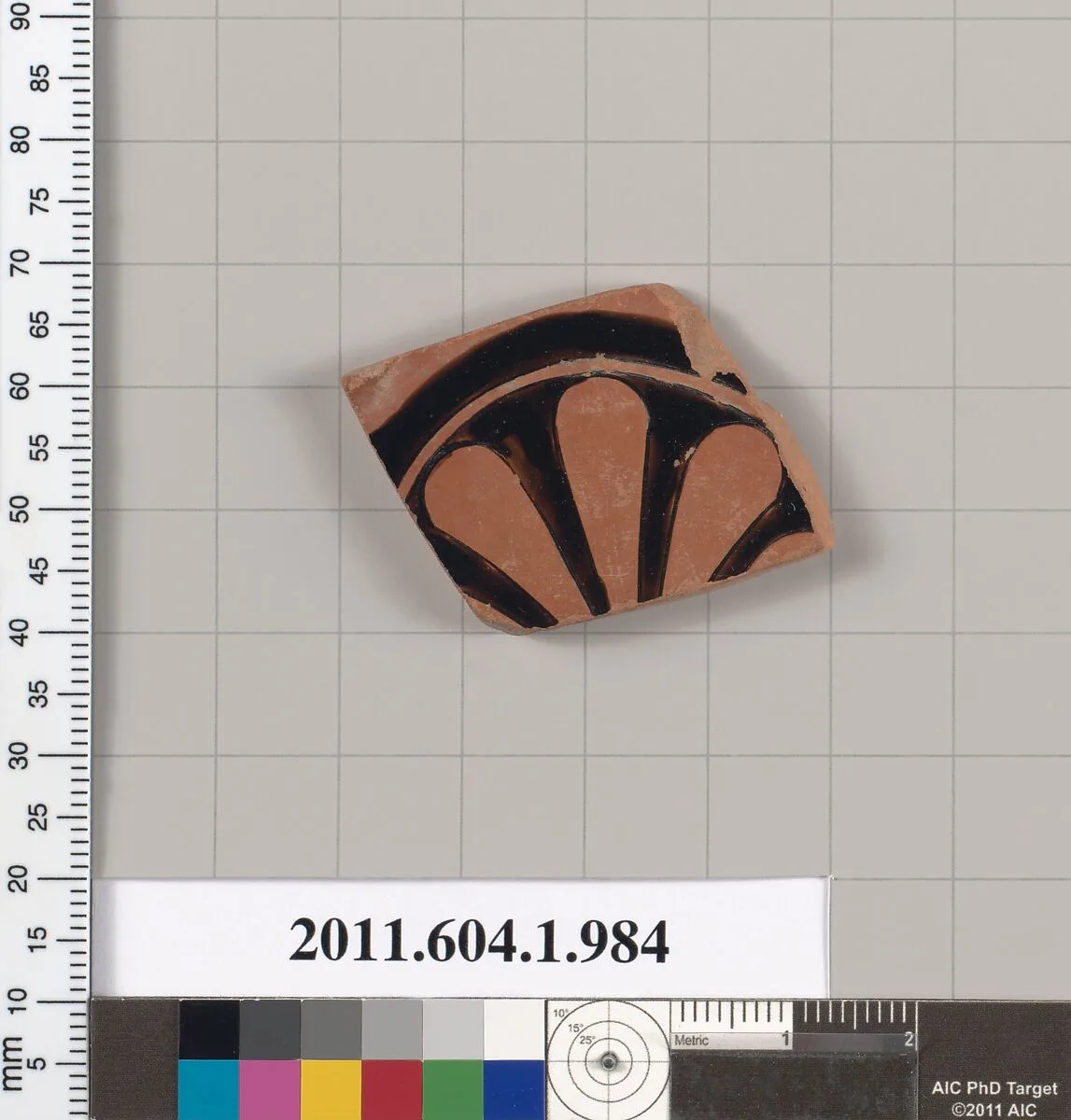 Terracotta fragment of a kylix (drinking cup) — Unknown