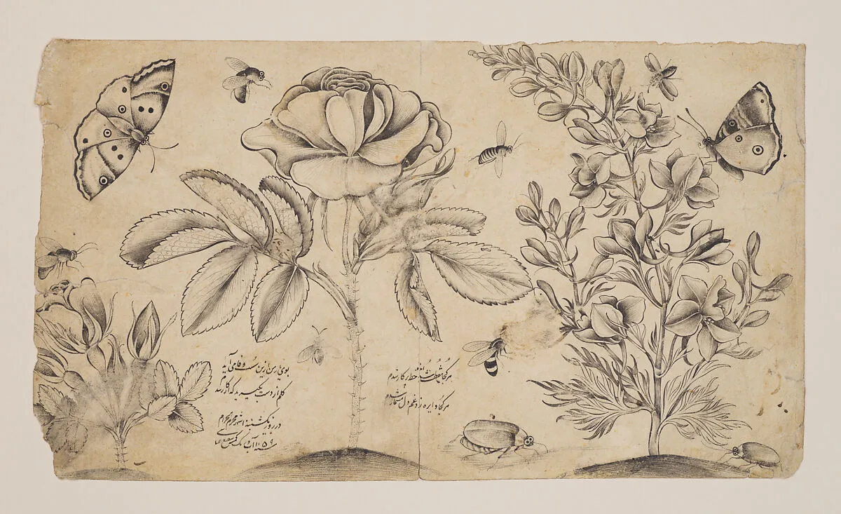 Drawing with Flowers, Butterflies, and Insects — Shafi' 'Abbasi
