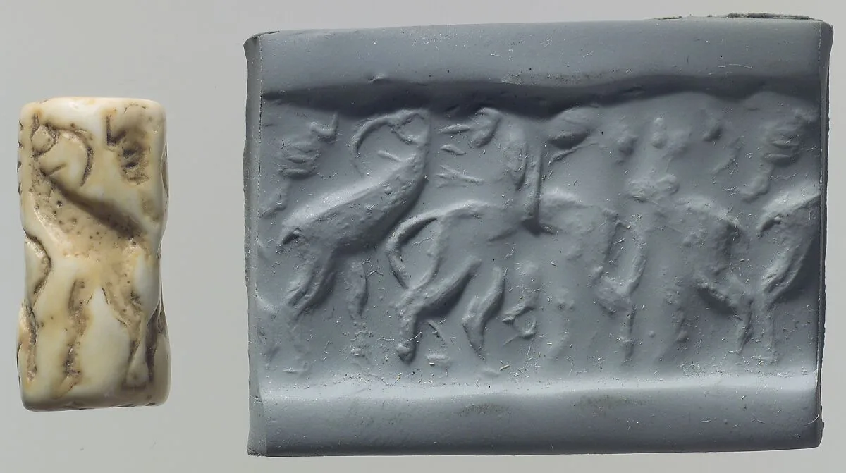 Cylinder seal — Unknown