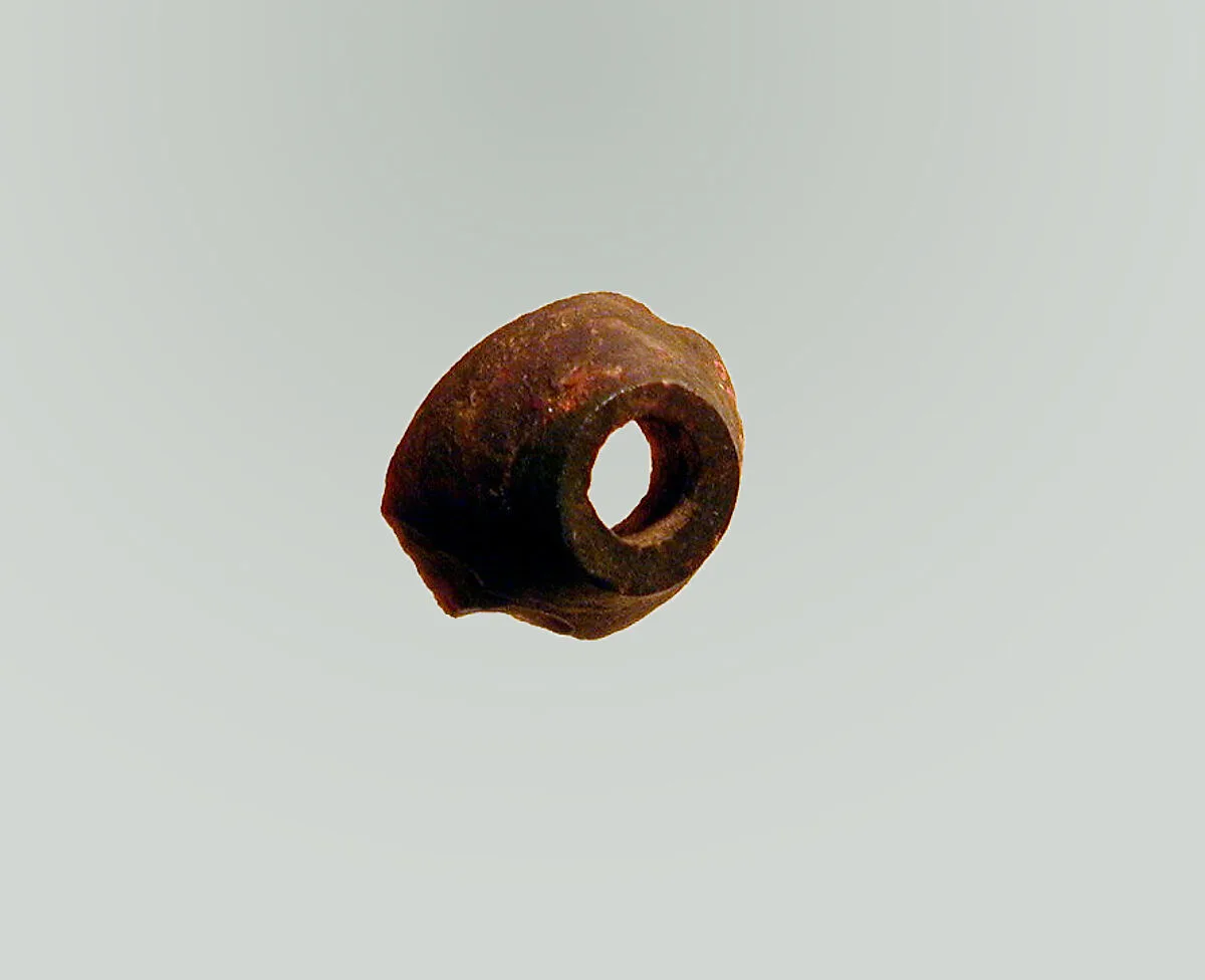 Fibula, fragment — Unknown