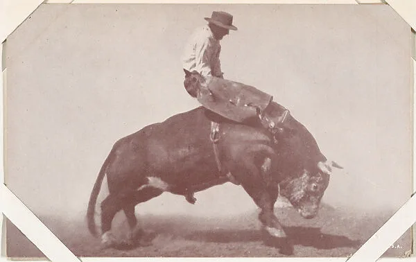 Cowboy in chaps riding bull from Indians and Western Historical Scenes series (W417) — Unknown