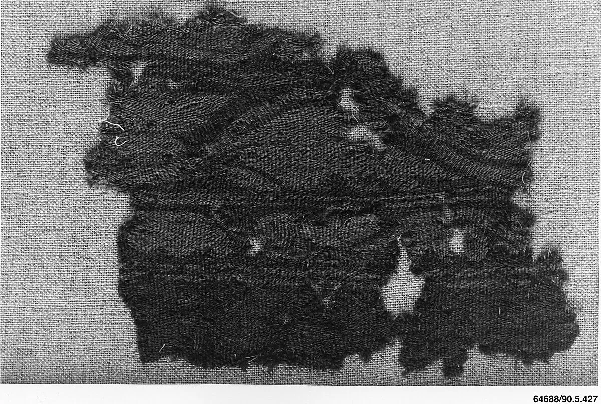 Fragment of a Sleeve — Unknown