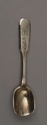 Salt spoon