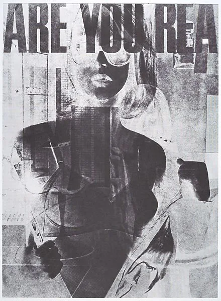 Are You Rea — Robert Heinecken