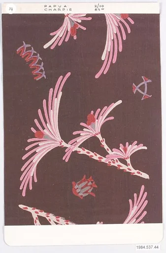 PAPUA-CHARPIE
