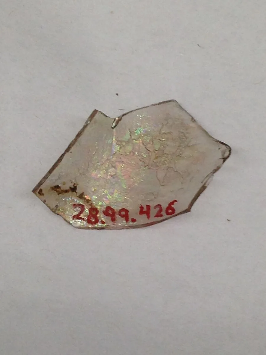 Fragment — Unknown
