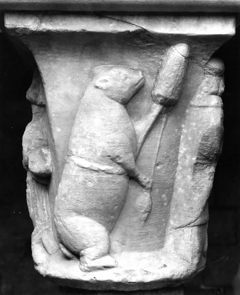 Double Capital — Unknown