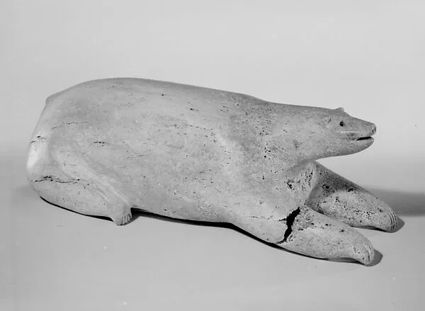 Whalebone Bear — Tommy