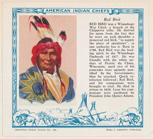 Red Bird, No. 28, collector card from the American Indian Series (D6), issued by the Kelley Baking Company to promote Kelley's Bread — Kelley Baking Company