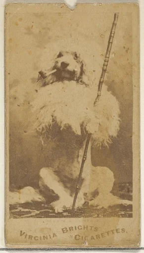 From the Dogs series (N47) for Virginia Brights Cigarettes