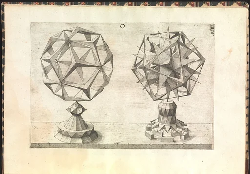 Perspectiva Corporum Regularium