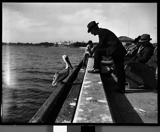 [People Sitting on Waterfront Benches, Florida]