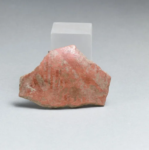 Vase fragment