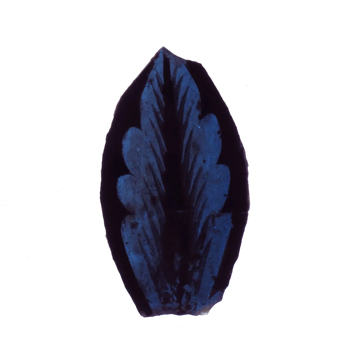 Glass Fragment — Unknown