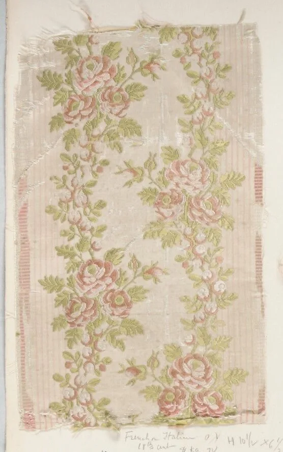 Fragment — Unknown