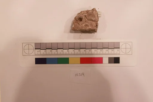 Stucco Fragment