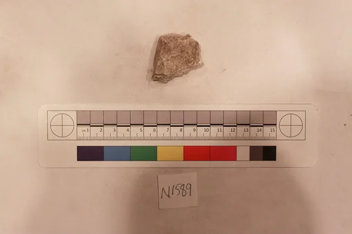 Stucco Fragment