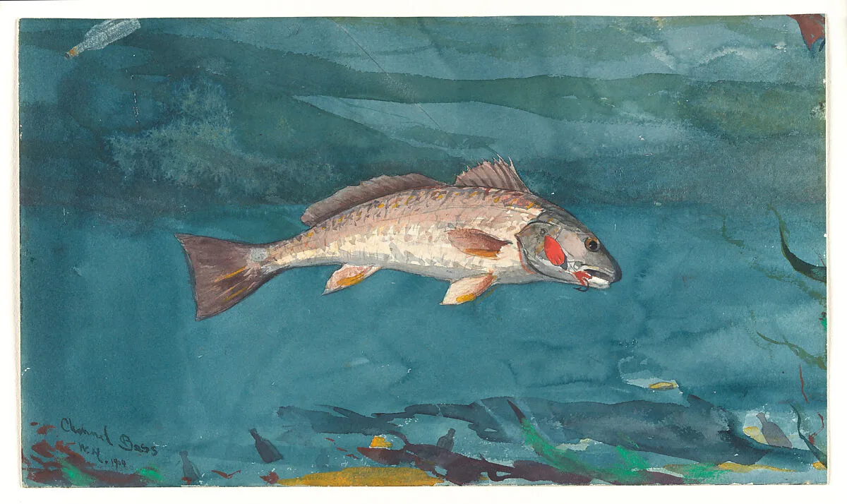 Channel Bass — Winslow Homer