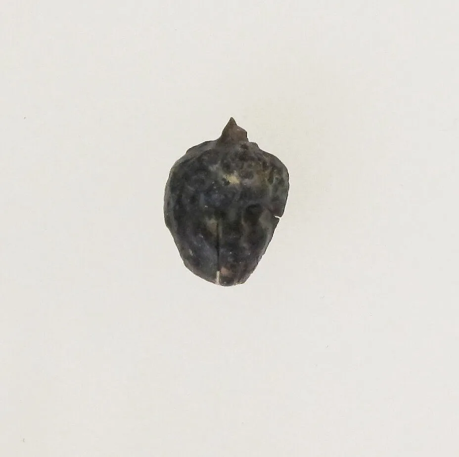 Glass pendant in the form of a Black African's head — Unknown