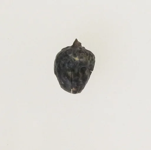 Glass pendant in the form of a Black African's head