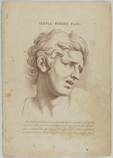 Simple Bodily Pain (from "Heads Representing the Various Passions of the Soul; as they are Expressed in the Human Countenance: Drawn by that Great Master Monsieur Le Brun")
