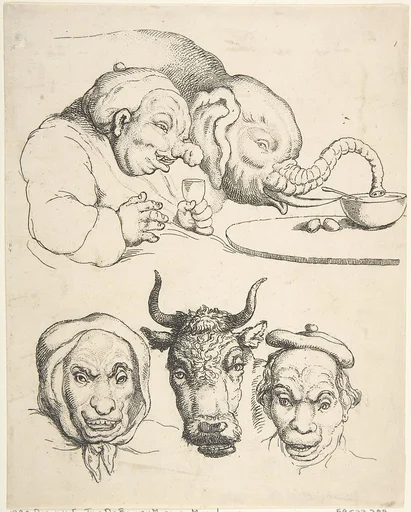 Comparative Anatomy