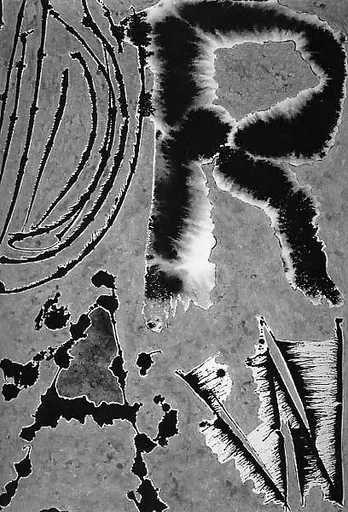 Untitled, # 17