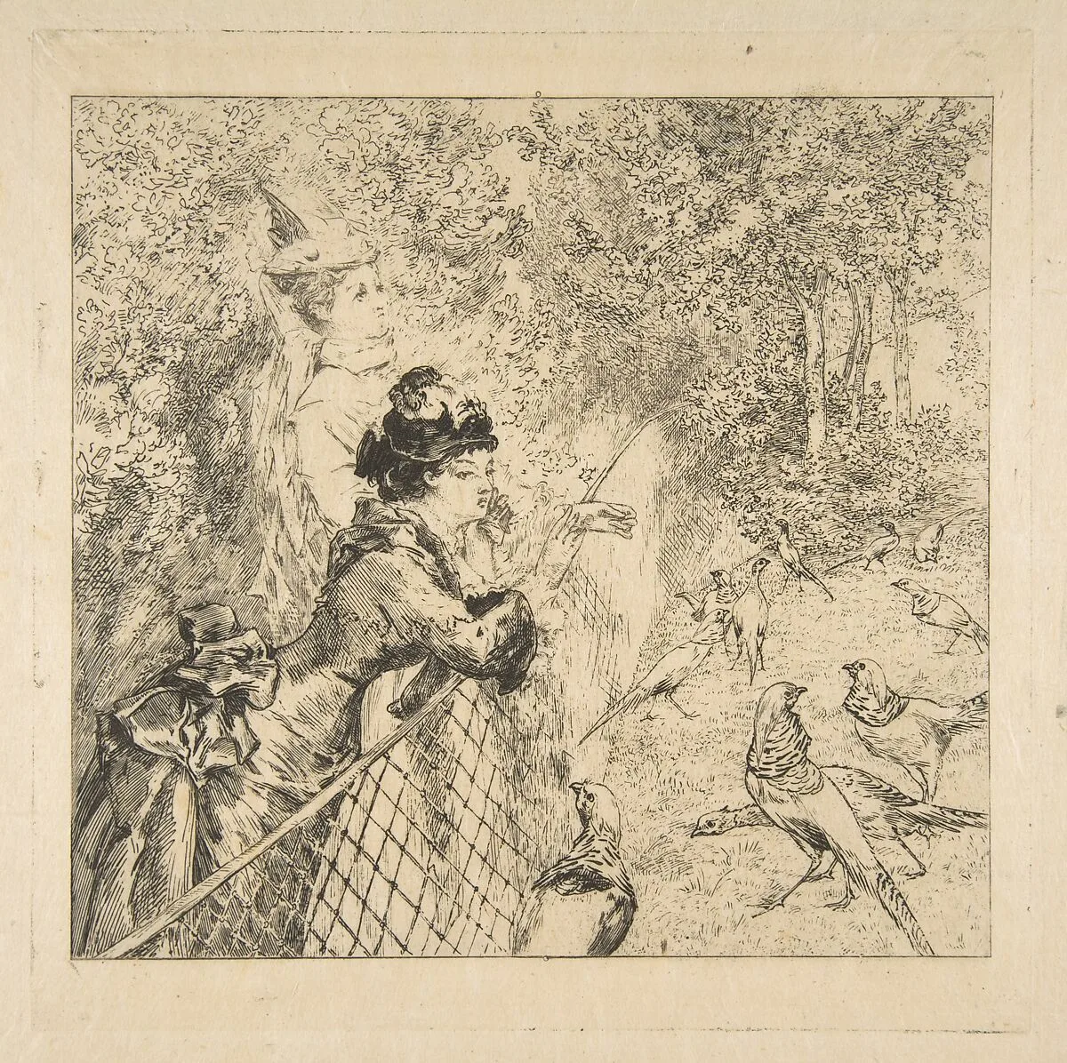 In the Zoological Garden — Félix Bracquemond