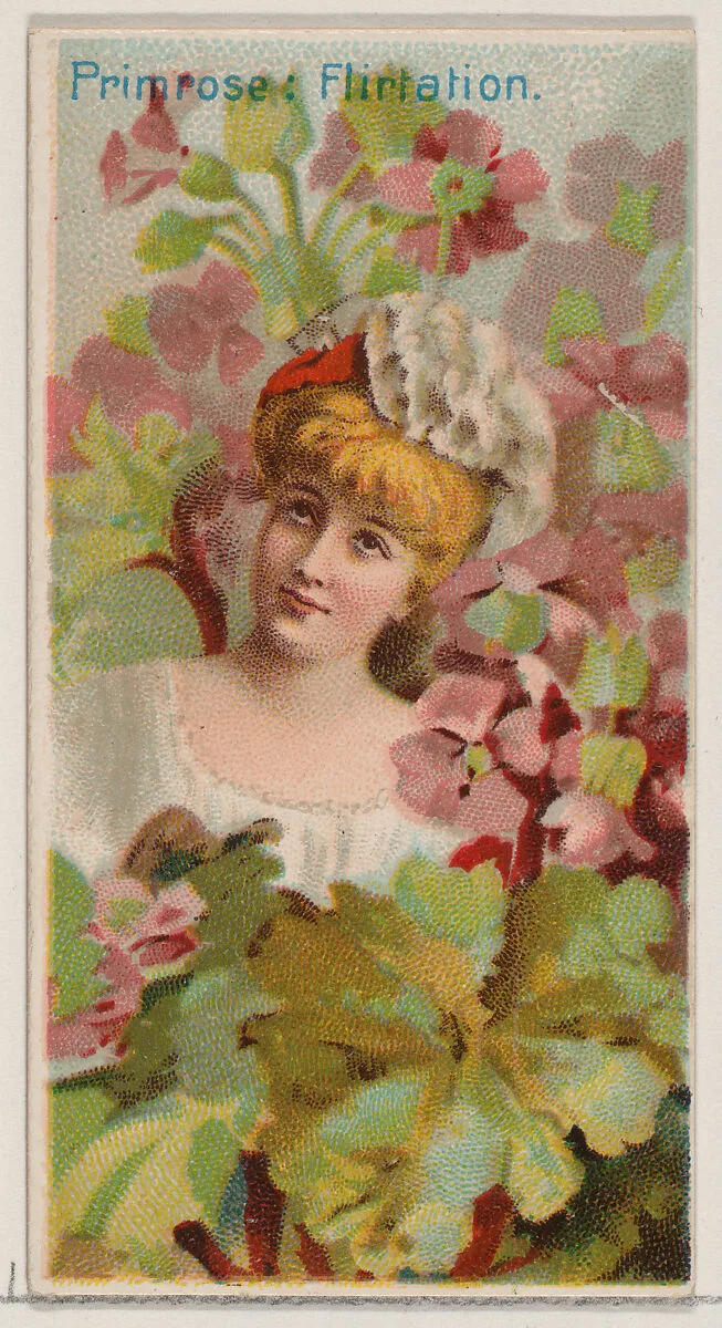 Primrose: Flirtation, from the series Floral Beauties and Language of Flowers (N75) for Duke brand cigarettes — Donaldson Brothers|American Tobacco Company