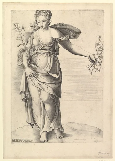 Speculum Romanae Magnificentiae: Flora