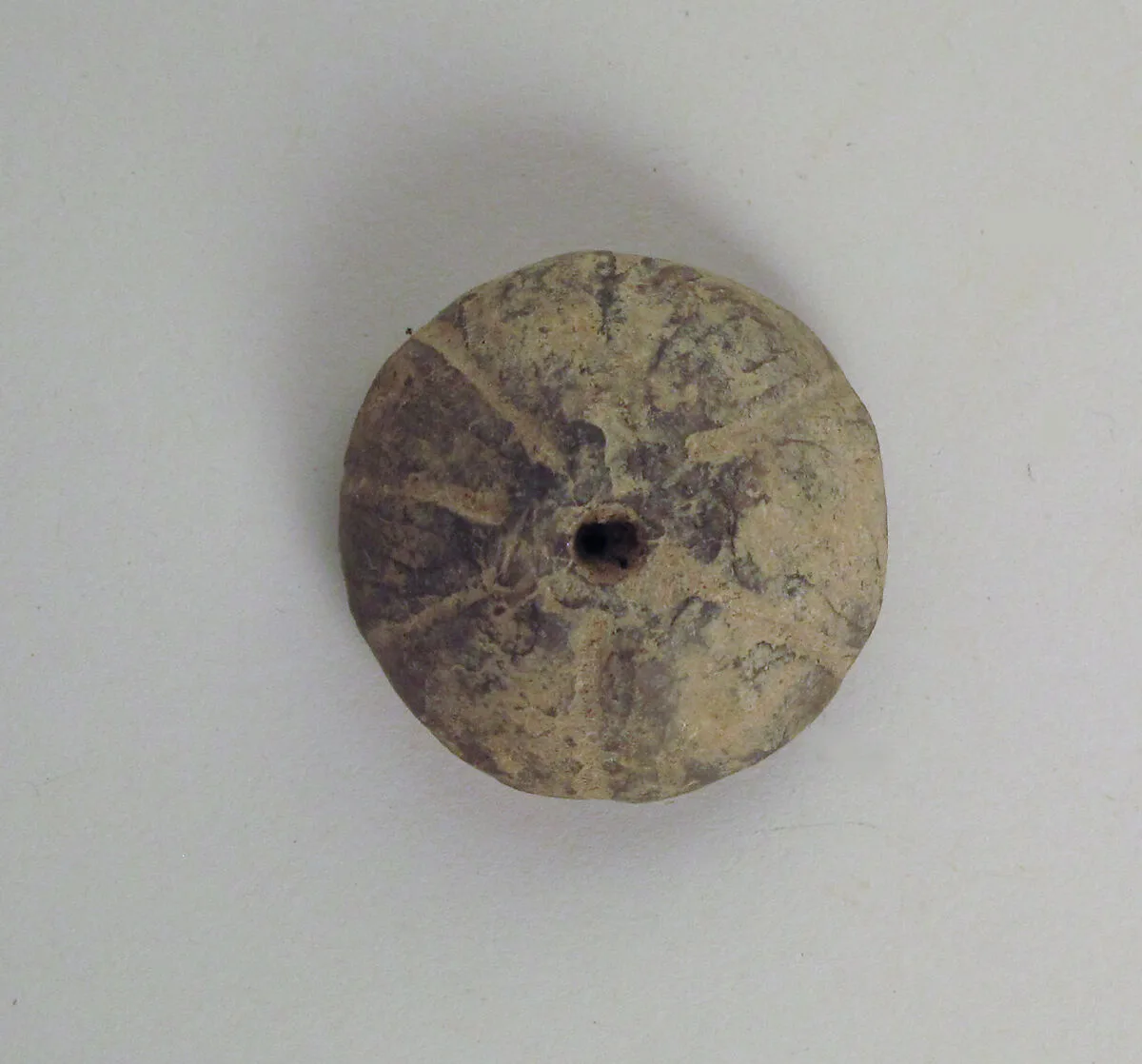 Roundel, disk — Unknown