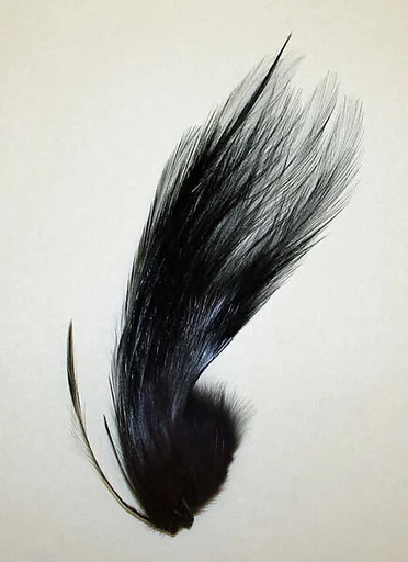 Aigrette