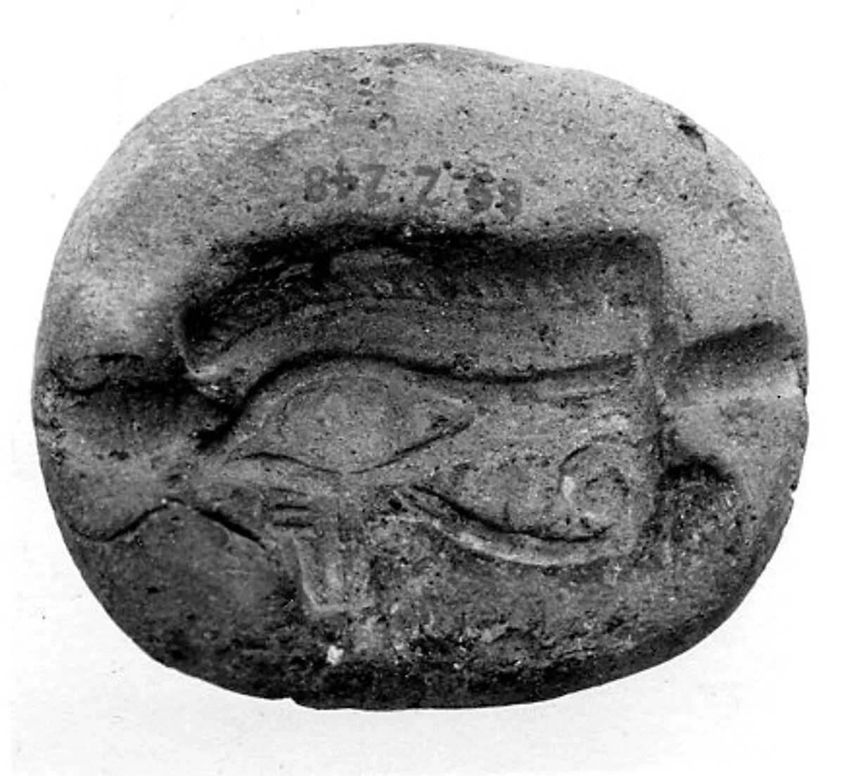 Mold — Unknown
