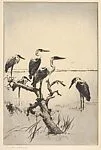 Herons at Rest — Frank W. Benson
