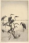 Herons at Rest