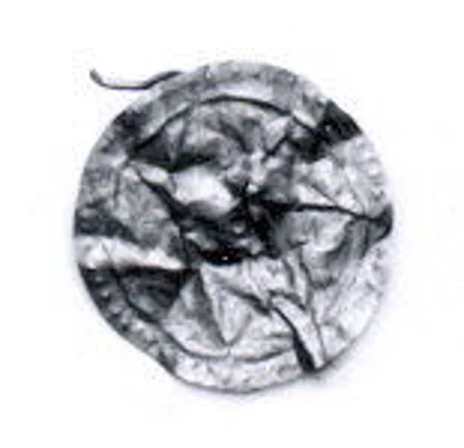 Disk ornament