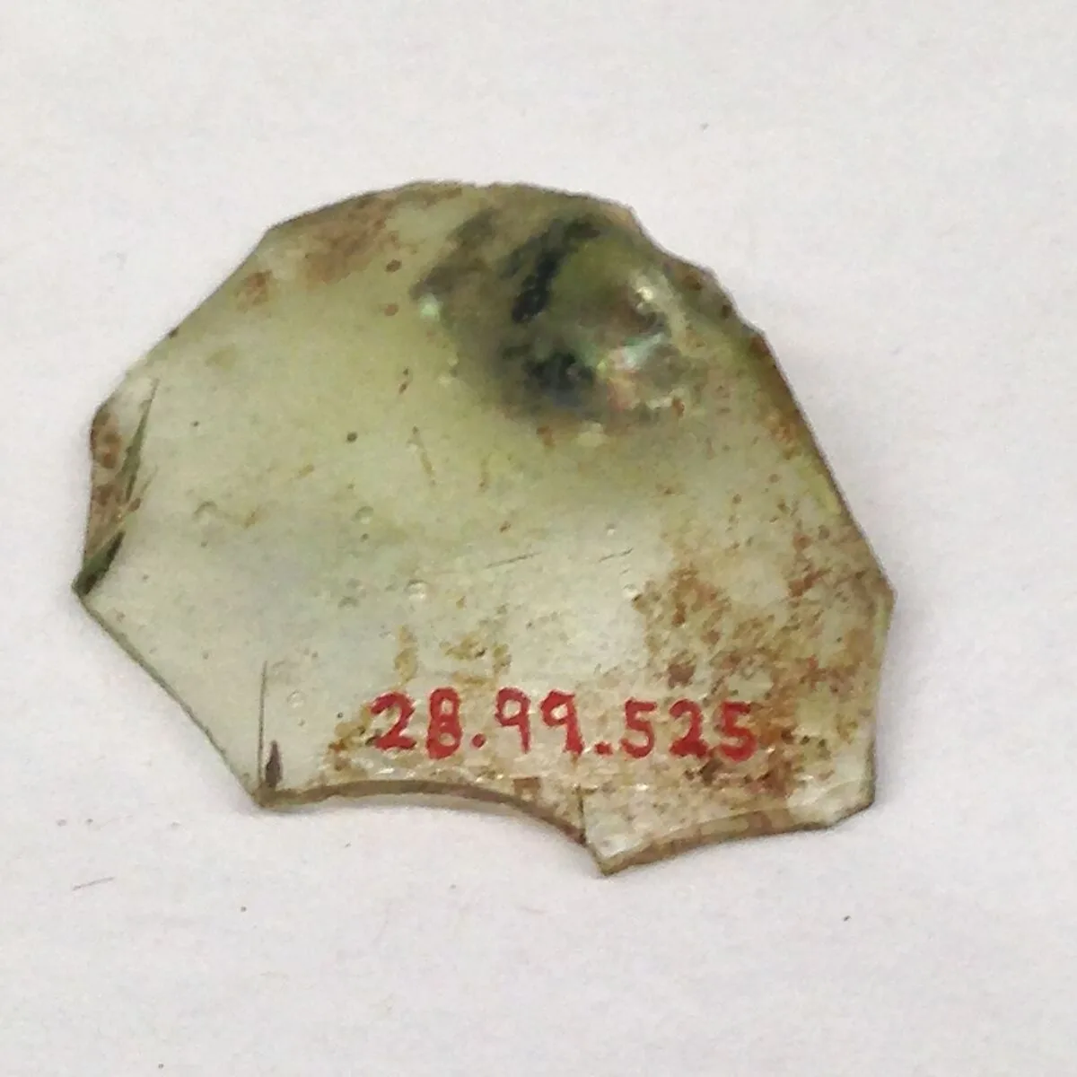 Fragment — Unknown