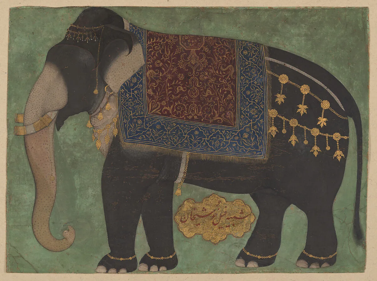 The Elephant Khushi Khan — Unknown