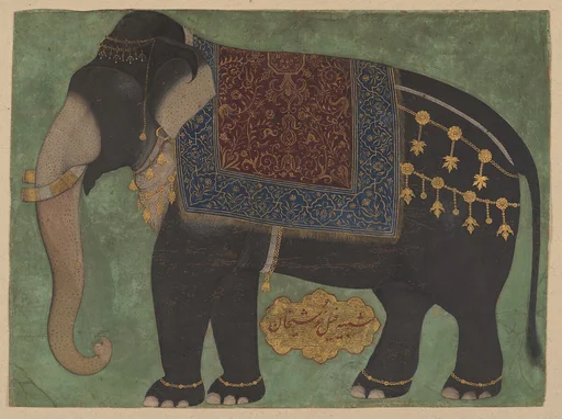 The Elephant Khushi Khan