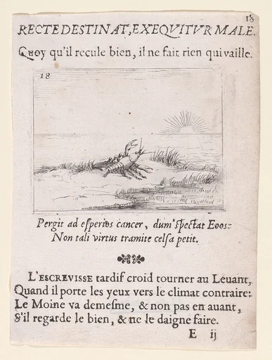 Une Ecrevisse Regardant Le Soleil (A Crayfish Looking at the Sun), from Lux Claustri ou La Lumière du Cloitre (The Light of the Cloisters), plate 18