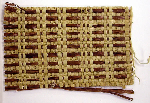 Panel Fragment — Unknown